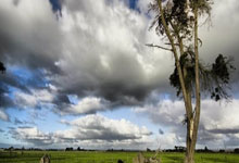 尤文图斯意甲赛程时间-九游线上